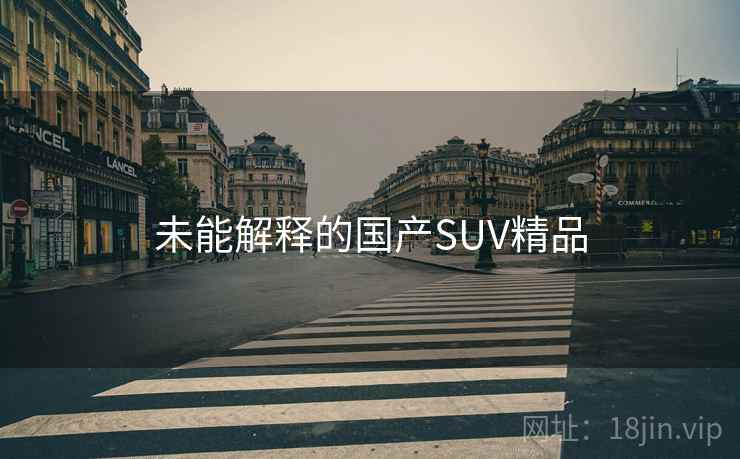 未能解释的国产SUV精品