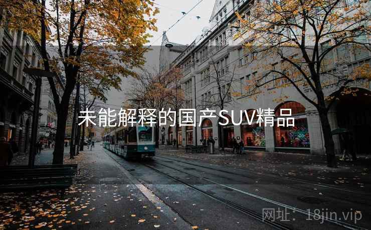 未能解释的国产SUV精品