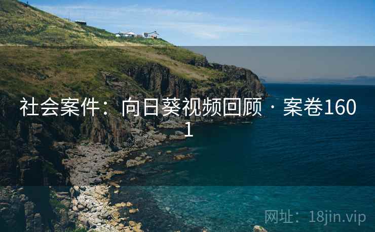 社会案件：向日葵视频回顾 · 案卷1601