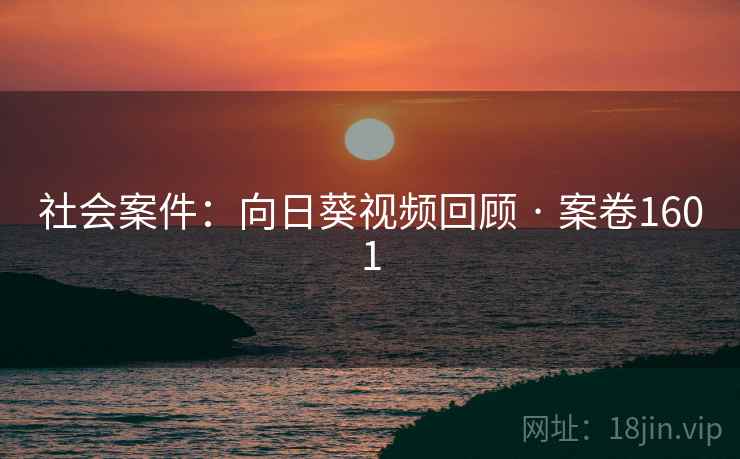 社会案件：向日葵视频回顾 · 案卷1601