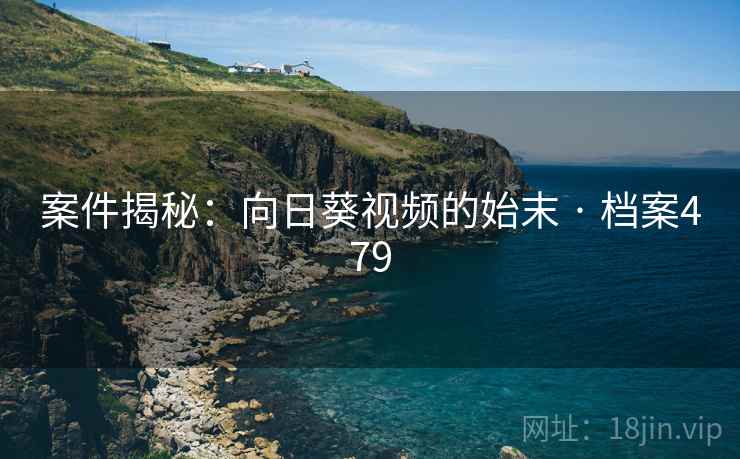 案件揭秘：向日葵视频的始末 · 档案479