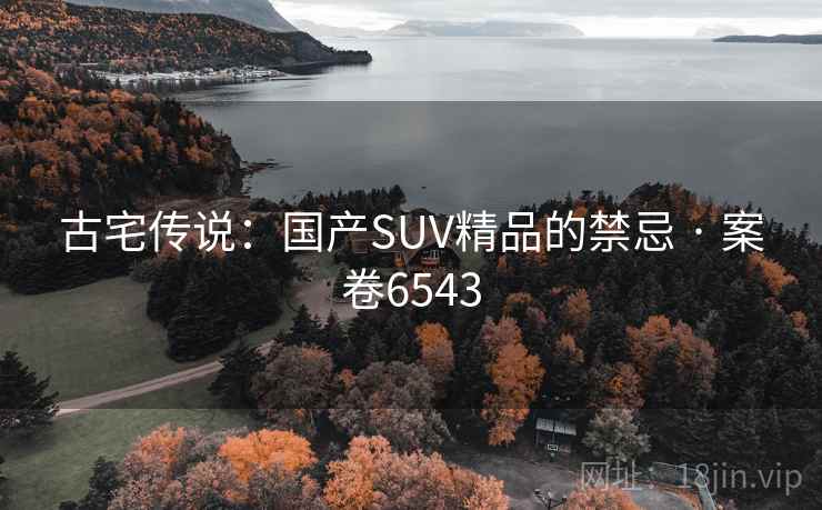 古宅传说：国产SUV精品的禁忌 · 案卷6543