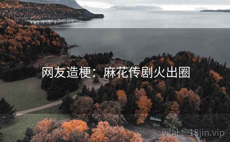 网友造梗:麻花传剧火出圈 网友造梗:麻花传剧火出圈