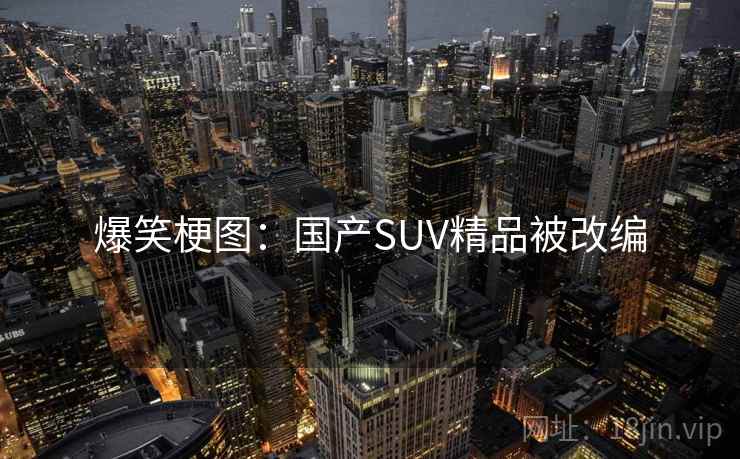 爆笑梗图:国产SUV精品被改编 爆笑梗图:国产SUV精品被改编